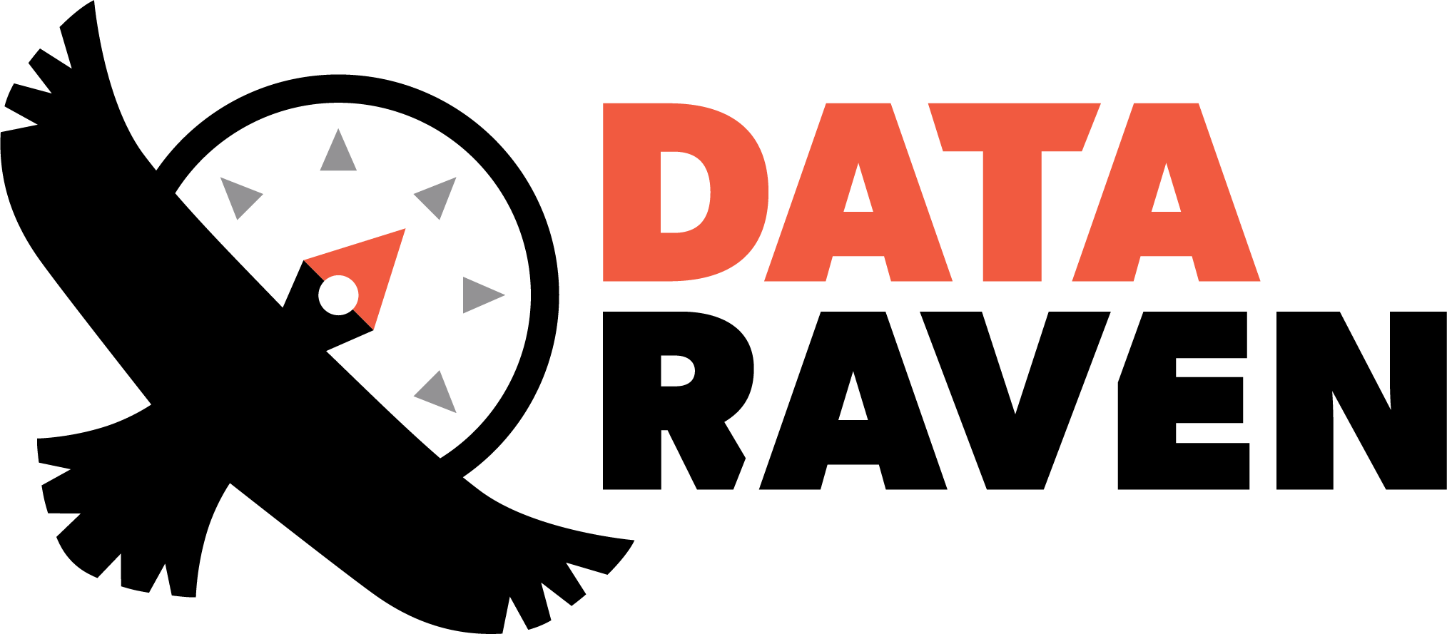 Data Raven logo stacked full color