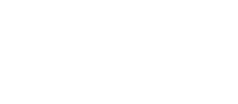 Data Raven logo white transparent