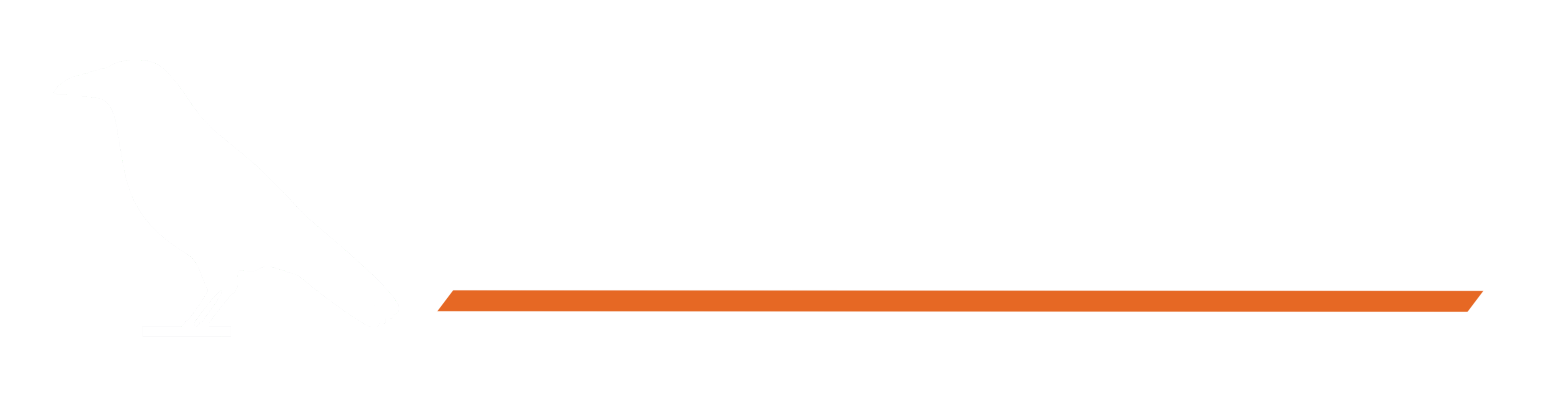 Data Raven long logo3.0 - white - transparent