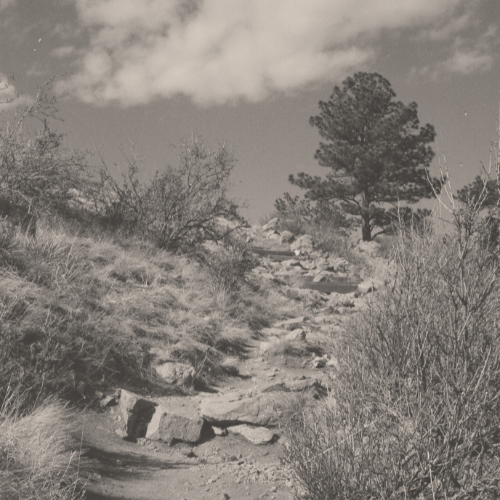 rocky mountain path